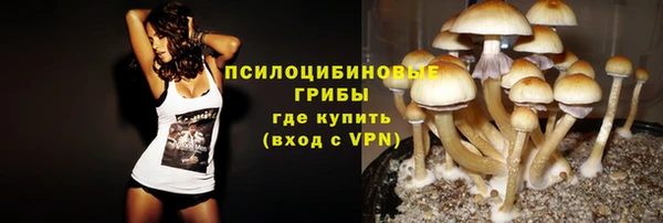 ALPHA-PVP Няндома